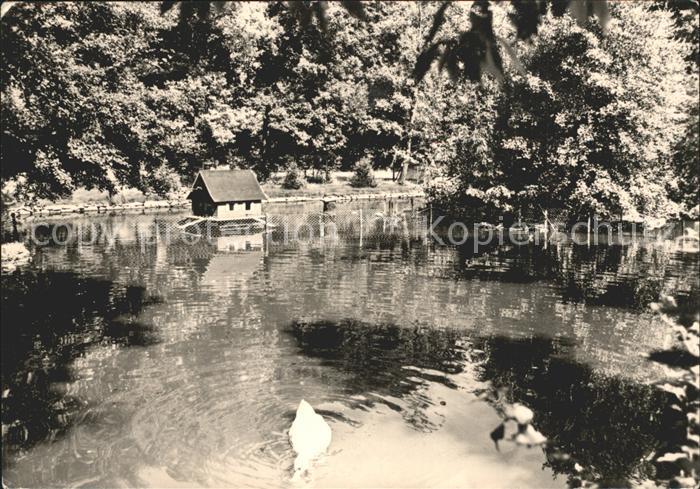 Bernsdorf Chemnitz August Bebel Park Schwanenteich