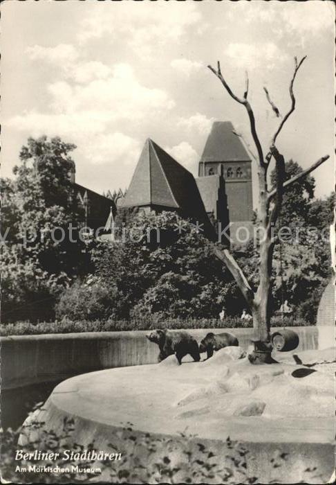 BERLIN CITY Maerkisches Museum Berliner Stadtbaeren