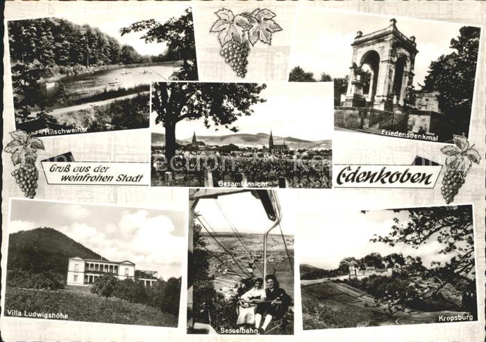 Edenkoben Hilschweiher Gesamtansicht Friedensdenkmal Villa Ludwigshoehe Sesselba