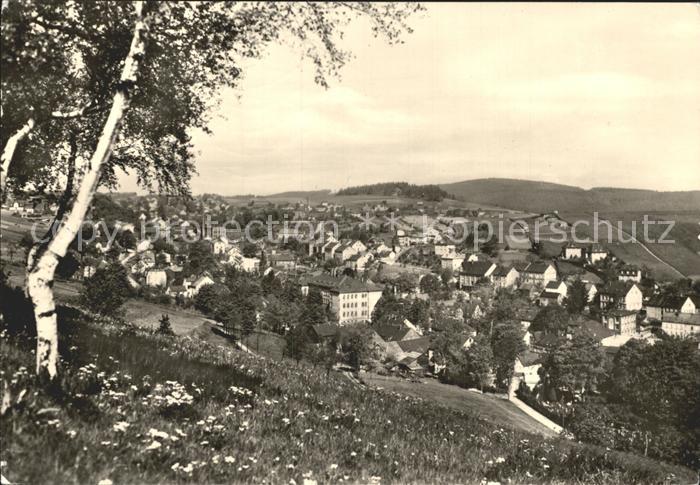 Schoenheide Erzgebirge Panorama
