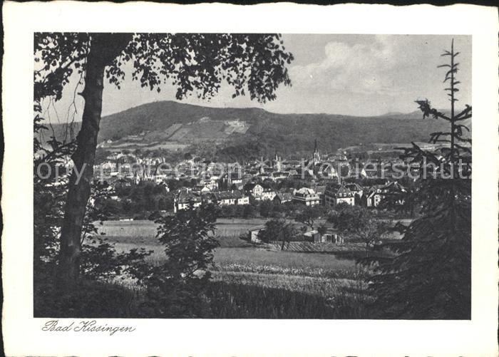 Bad Kissingen Panorama