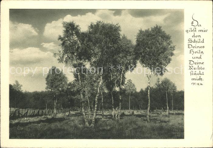 Dinglingen Landschaft