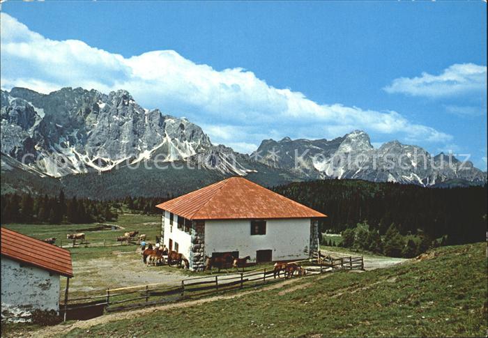 Sesto Sexten Suedtirol Rifugio Alpe di Nemes Dreischuster Sp