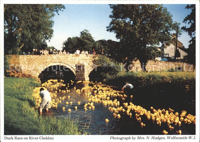 Pembrokeshire Duck Race on River Cleddau