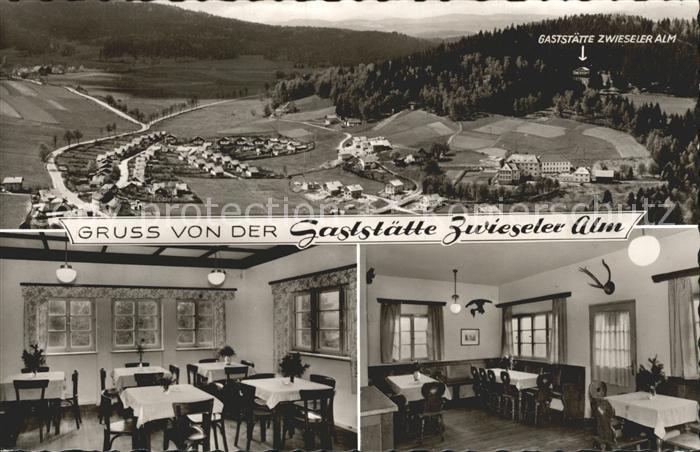 Zwiesel Niederbayern Berggaststaette Zwiesler Alm