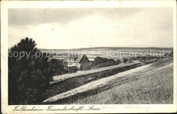 Gross Denkte Falkenheim Freundschaft- Asse