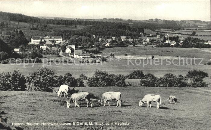 Hochwaldhausen Ilbeshausen Panorama Blick vom Hegholz Kuehe Hoehenluftkurort