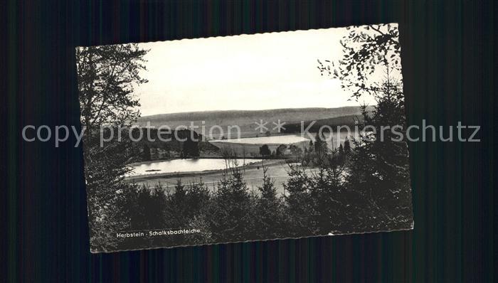 Herbstein Schalksbachteiche