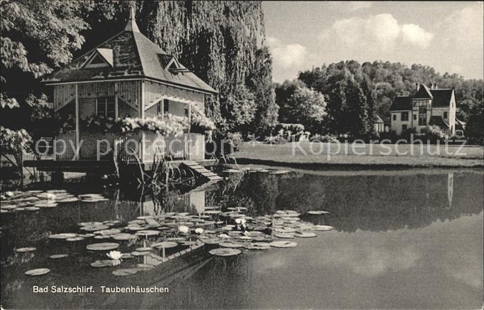 Bad Salzschlirf Teichrosen Taubenhaeuschen