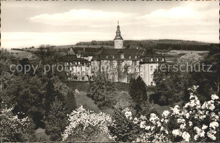 Birstein Schloss Birstein Vogelsberg