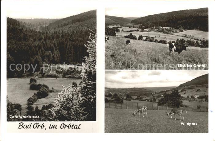 Bad Orb Cafe Waldfriede Orbtal Wildpark