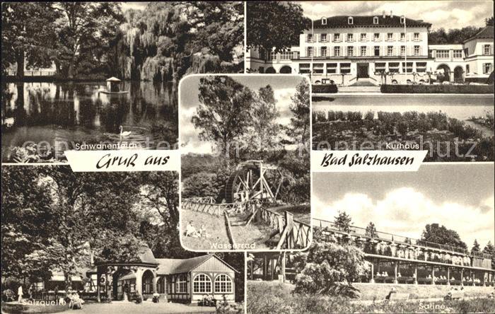 Bad Salzhausen Schwanenteich Kurhaus Salzquelle Wasserrad Saline