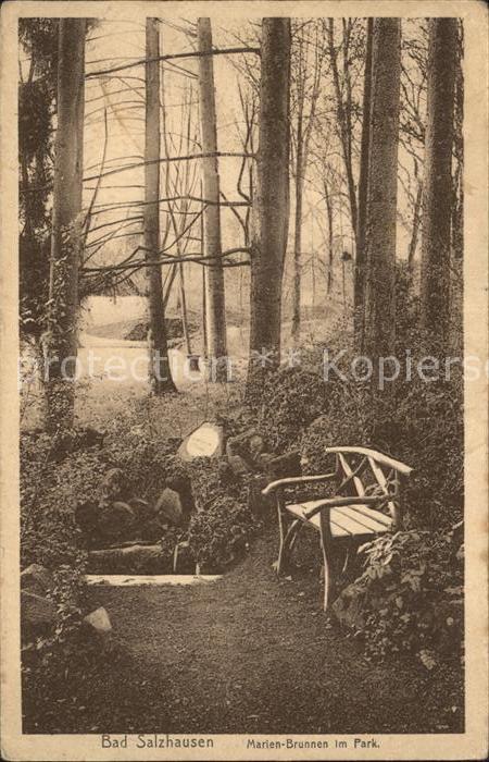 Bad Salzhausen Marien Brunnen im Park