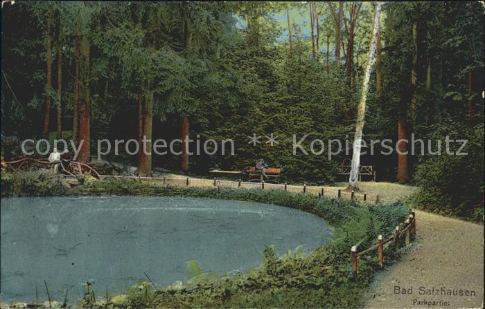 Bad Salzhausen Partie im Park Teich Bahnpost