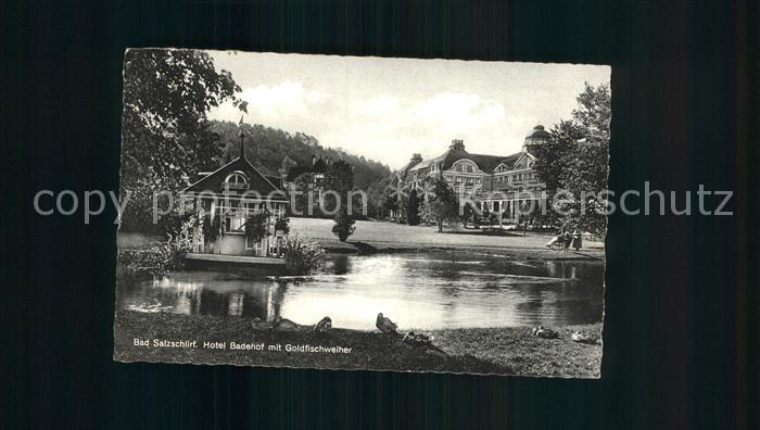 Bad Salzschlirf Hotel Badehof Goldfischweiher