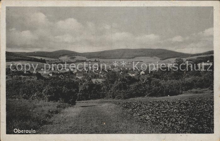 Oberaula Panorama