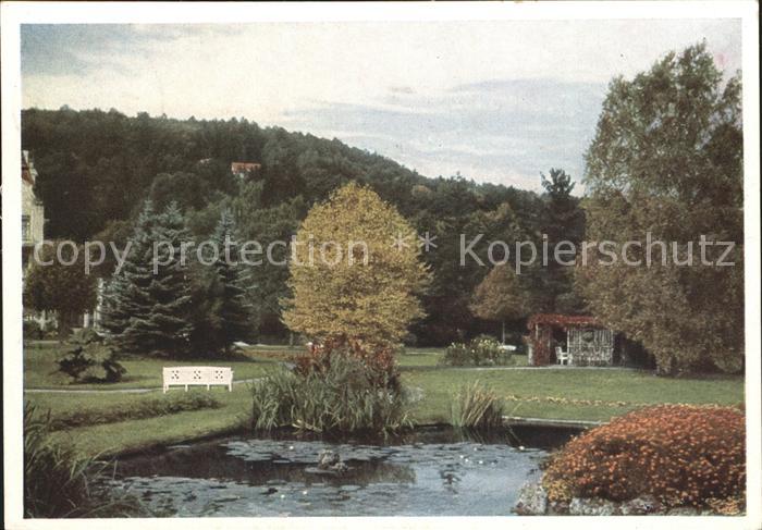 Bad Salzschlirf Goldfischteich im Kurpark