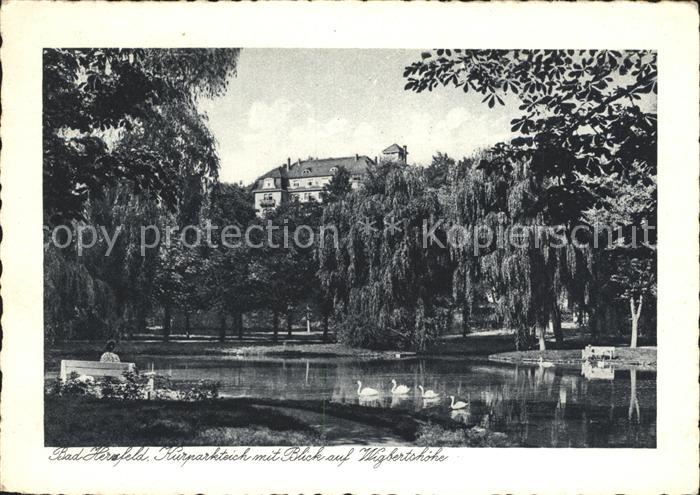 Bad Hersfeld Kurpark Teich Schwaene Wigbertshoehe