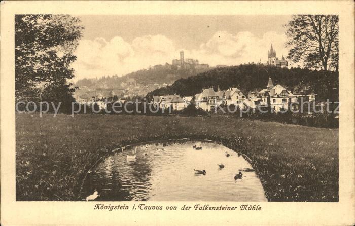 Koenigstein Taunus von der Falkensteiner Muehle Schwanenteich