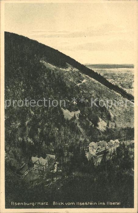 Ilsenburg Harz Panorama Blick vom Ilsestein ins Ilsetal