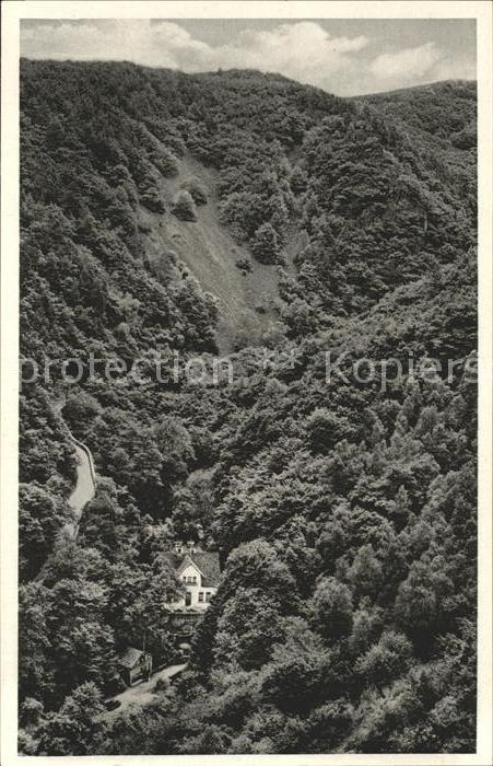 Trechtingshausen Waldrestaurant Letzte Muehle im Morgenbachtal