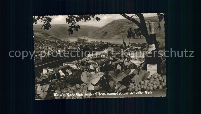 Bingen Rhein mit Bingerbrueck