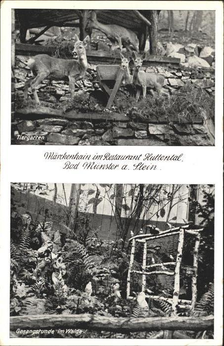 Bad Muenster Stein Ebernburg Tiergarten Gesangstunde im Walde