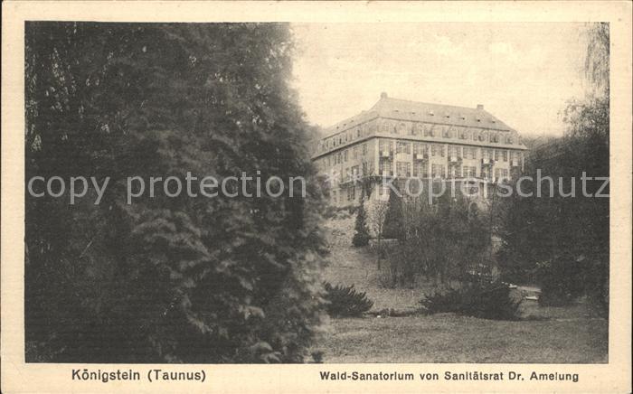 Koenigstein Taunus Wald Sanatorium von Sanitaetsrat Dr Amelung