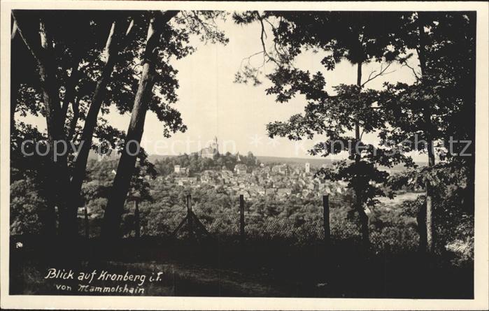 Kronberg Taunus Blick von Mammolshain