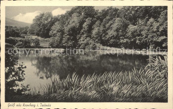 Kronberg Taunus Landschaft