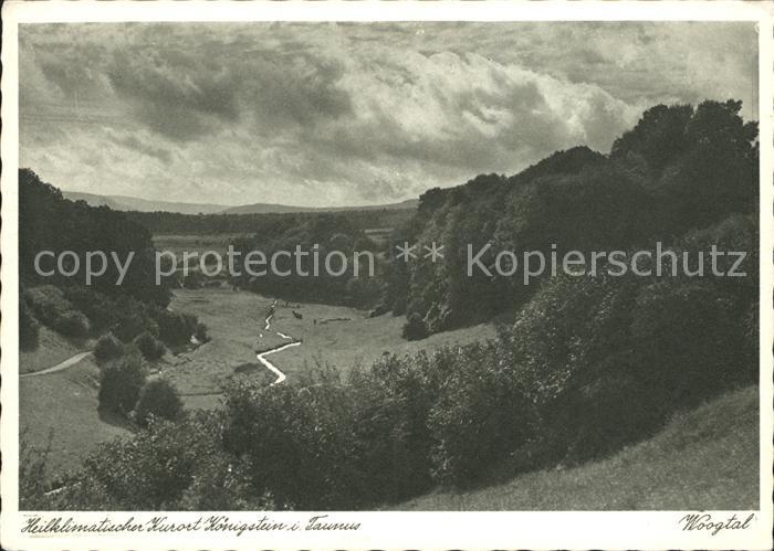 Koenigstein Taunus Woogtal Landschaftspanorama