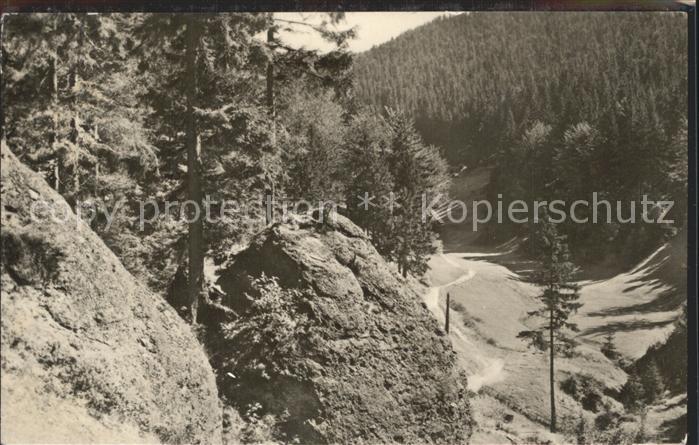 Fehrenbach Thueringer Wald Im Eselsgrund