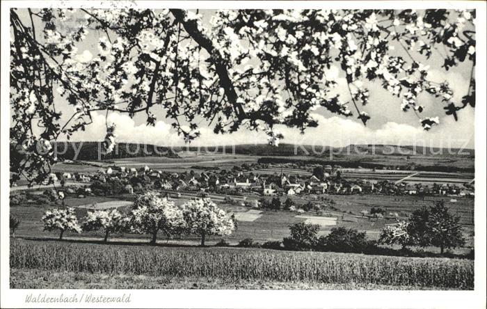 Waldernbach Panorama Westerwald
