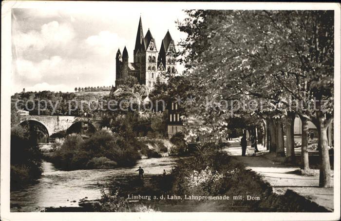 Limburg Lahn Lahnpromenade mit Dom