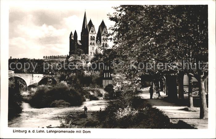 Limburg Lahn Lahnpromenade mit Dom