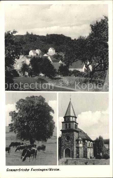 Fussingen Teilansicht Kirche Kuehe Sommerfrische