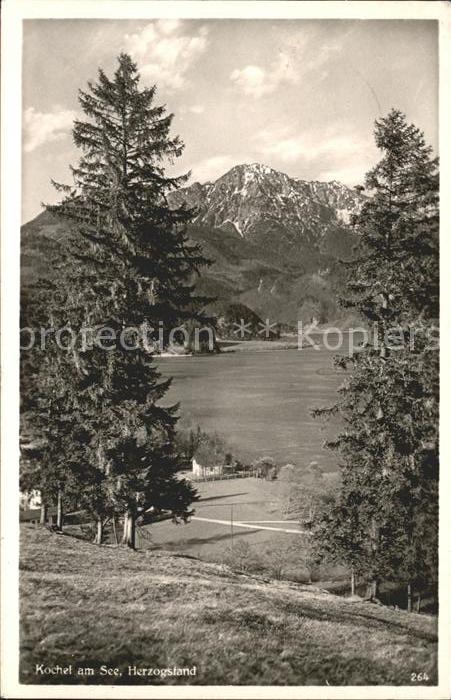 Kochel See Panorama mit Herzogstand Bayerische Voralpen