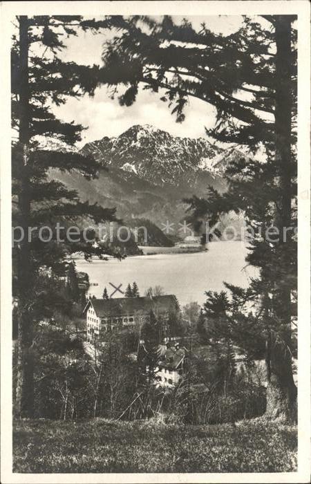 Kochel See Panorama mit Herzogstand Bayerische Voralpen