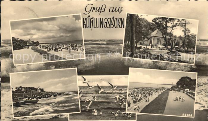 Kuehlungsborn Ostseebad Strand Promenade Moewen