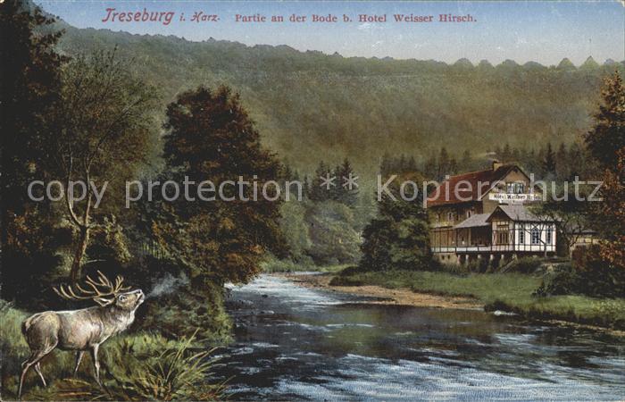 Treseburg Harz Partie an der Bode Hotel Weisser Hirsch