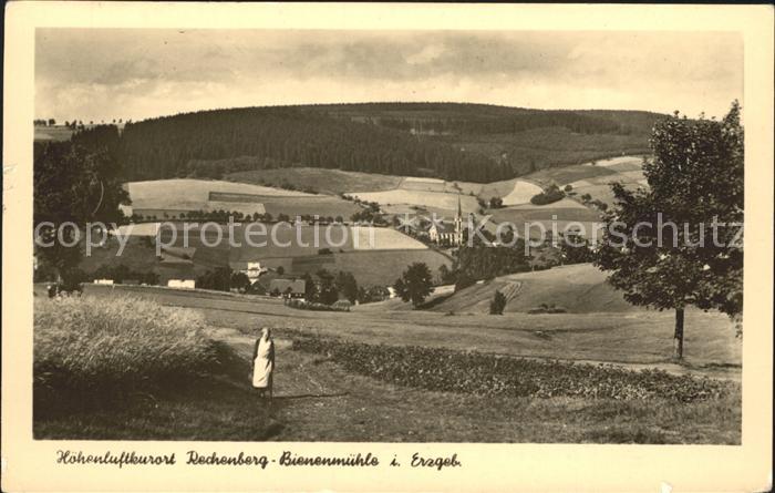 Rechenberg-Bienenmuehle Osterzgebirge Panorama Hoehenluftkurort
