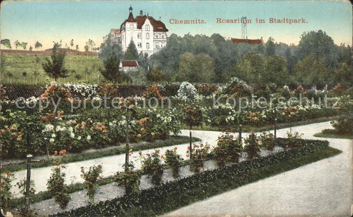CHEMNITZ Sachsen Rosarium im Stadtpark