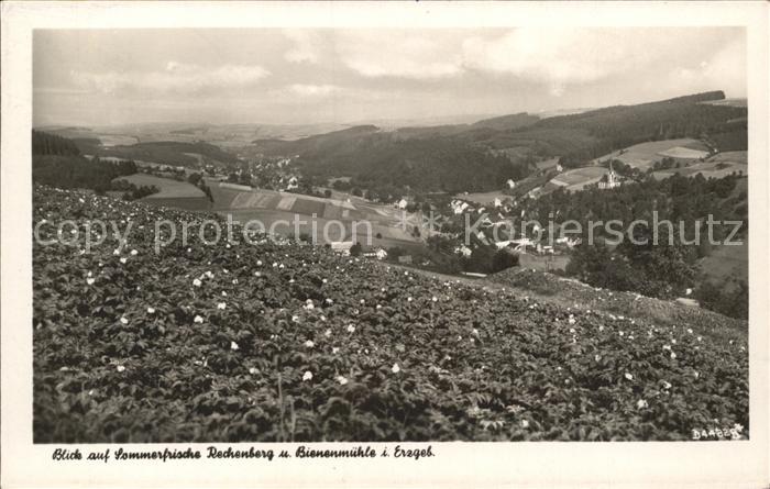 Rechenberg-Bienenmuehle Osterzgebirge Panorama Sommerfrische