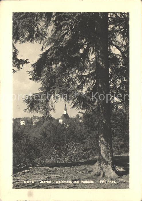 Pullach Isartal Waldmotiv