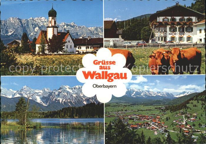 Wallgau Dorfkirche Wettersteingebirge Gasthof Post Barmsee Kuehe