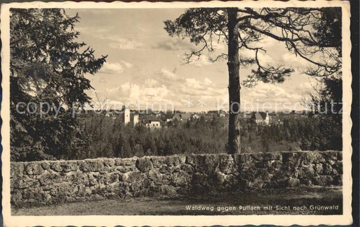 Gruenwald Muenchen Waldweg gegen Pullach mit Blick auf Gruenwald NZ3