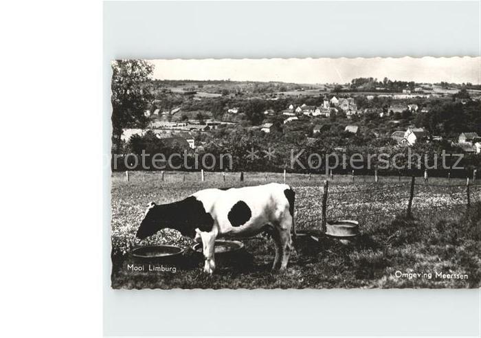 Limburg Valkenburg Omgeving Meerssen