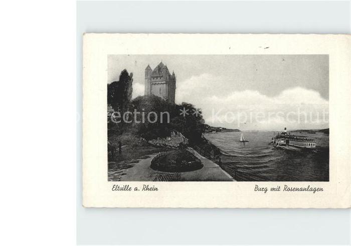 Eltville Rhein Burg mit Rosenanlagen Dampfer