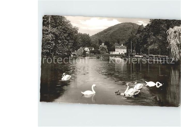 Bad Bergzabern Schwanenweiher