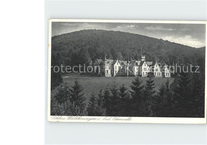 Ernsttal Baden Schloss Waldliningen